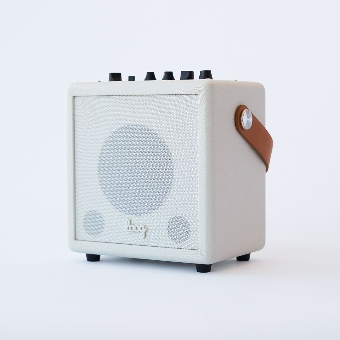 loog mini amp pro