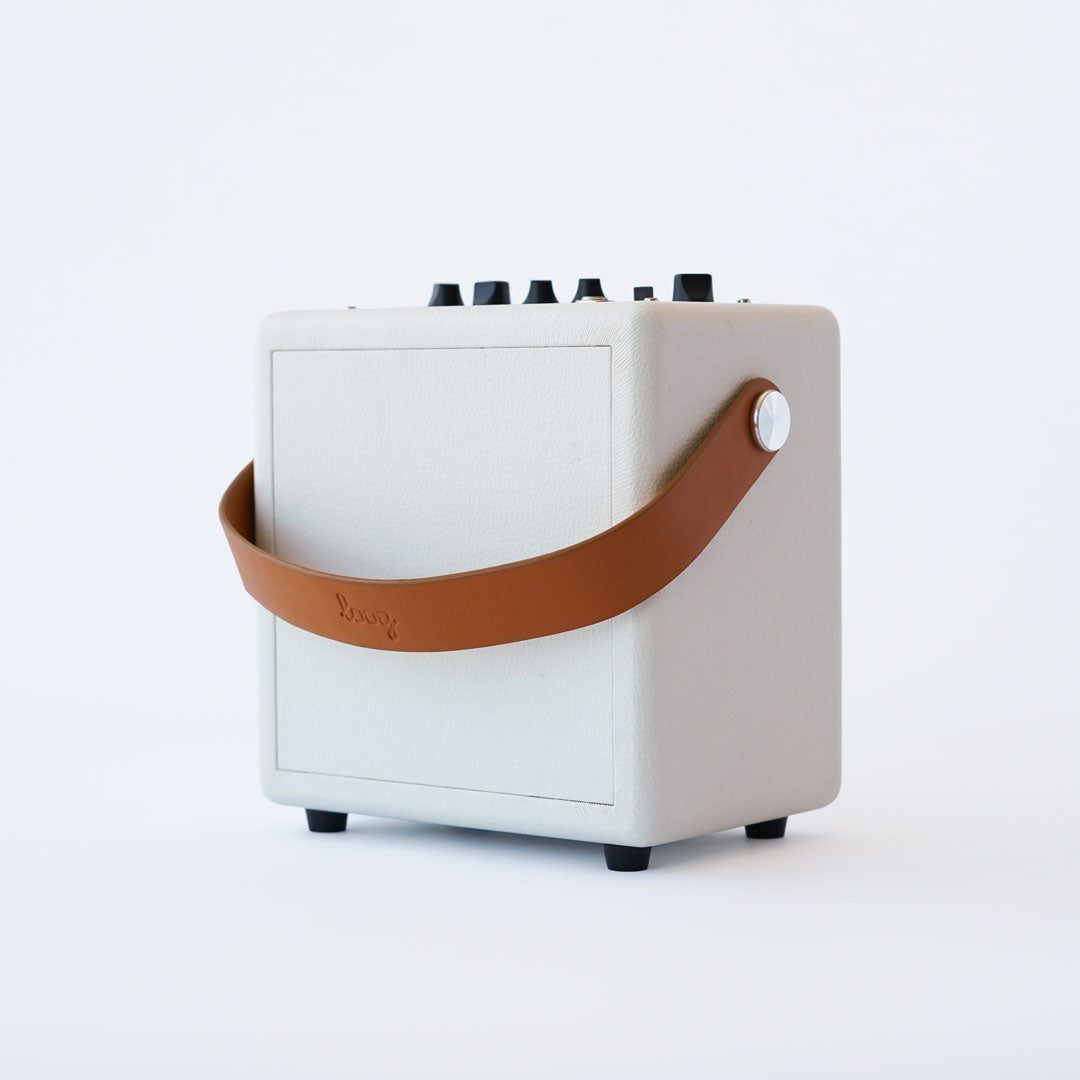 loog mini amp pro